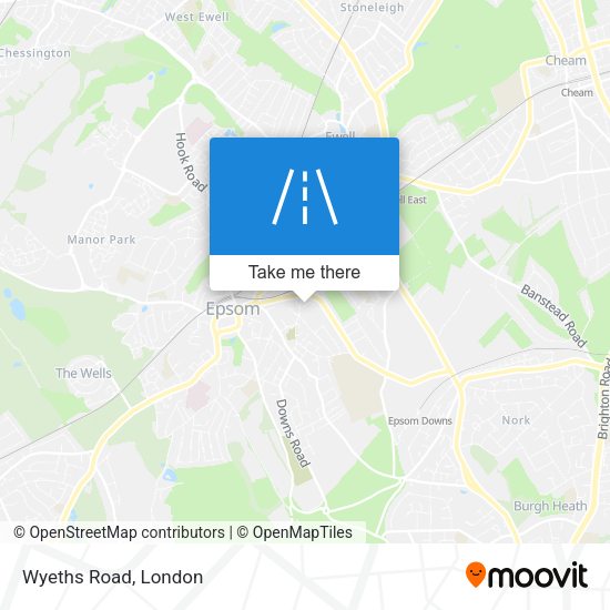 Wyeths Road map