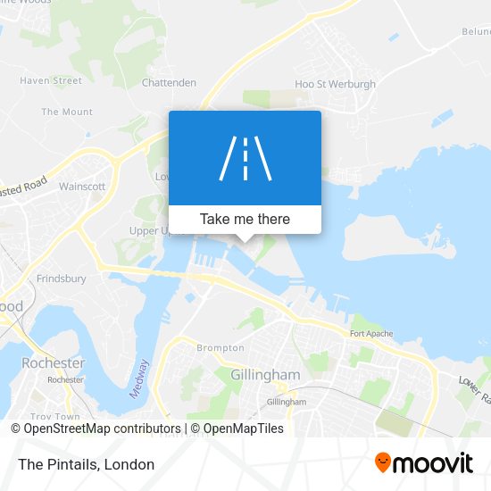 The Pintails map