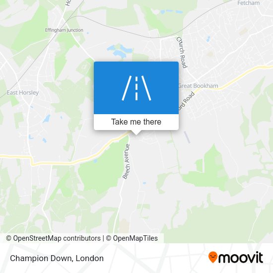 Champion Down map