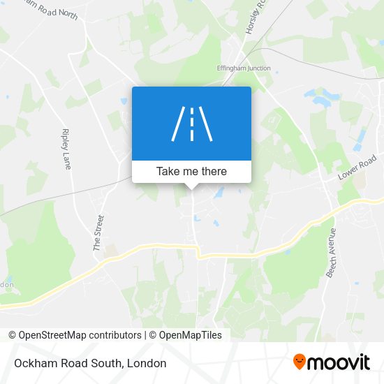 Ockham Road South map