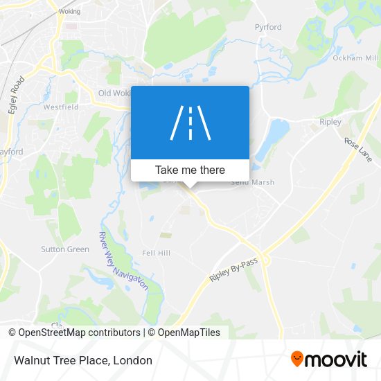 Walnut Tree Place map