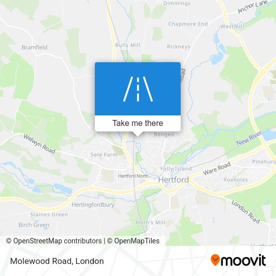 Molewood Road map