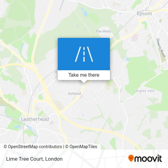 Lime Tree Court map