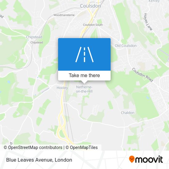 Blue Leaves Avenue map