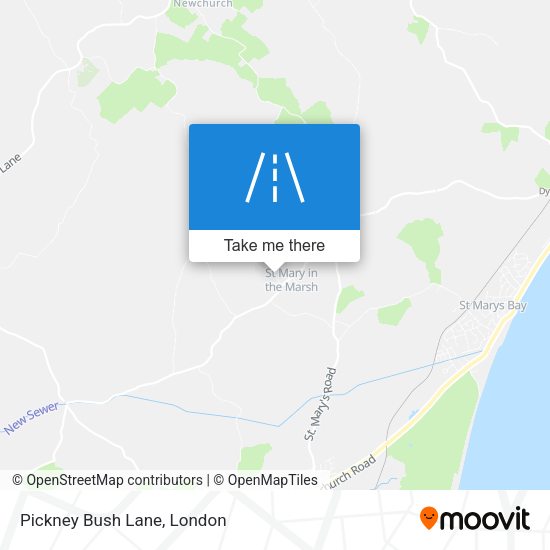 Pickney Bush Lane map