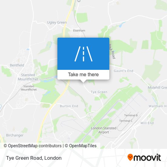 Tye Green Road map