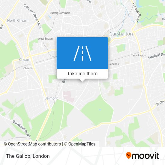 The Gallop map