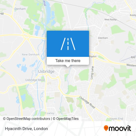Hyacinth Drive map