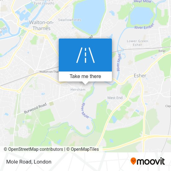 Mole Road map