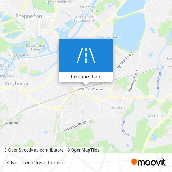 Silver Tree Close map