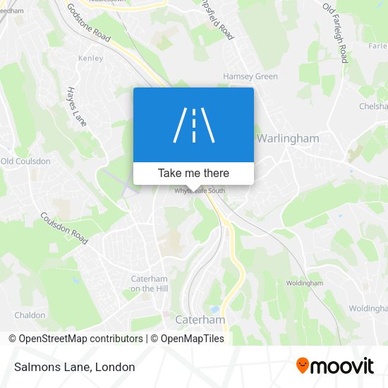 Salmons Lane map