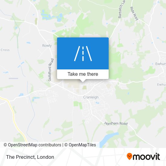 The Precinct map