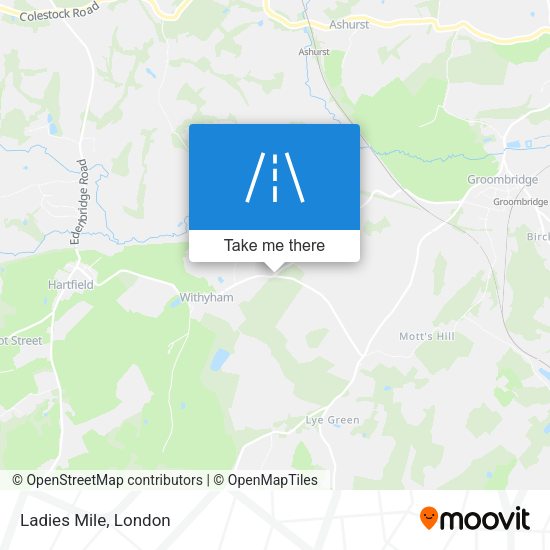 Ladies Mile map