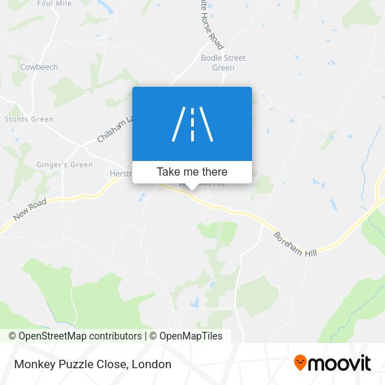 Monkey Puzzle Close map