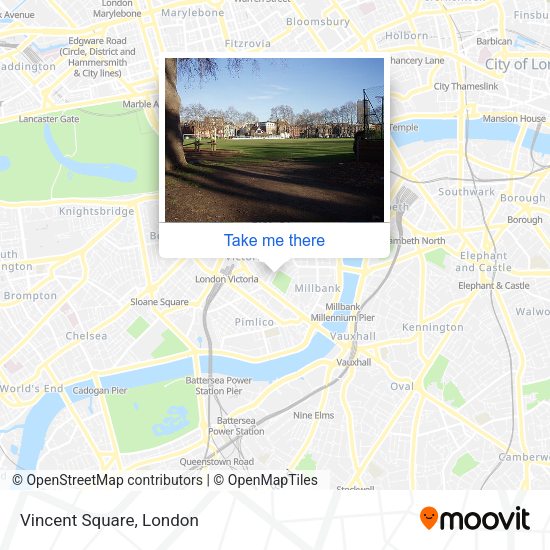 Vincent Square map