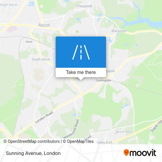 Sunning Avenue map