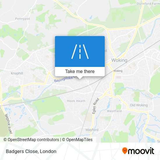 Badgers Close map