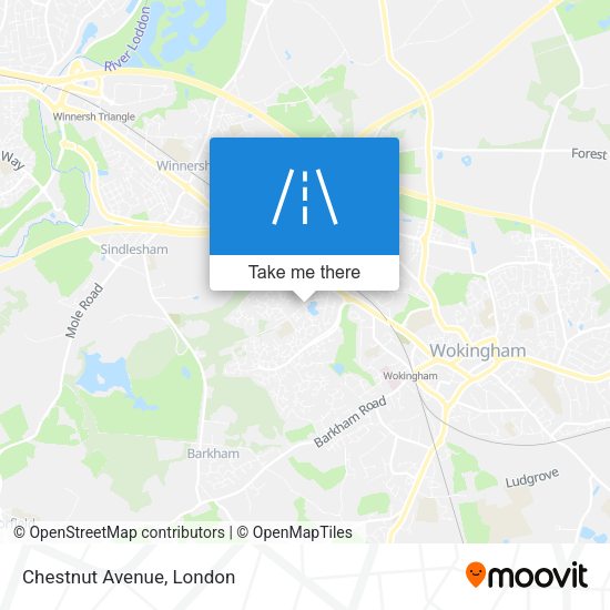 Chestnut Avenue map