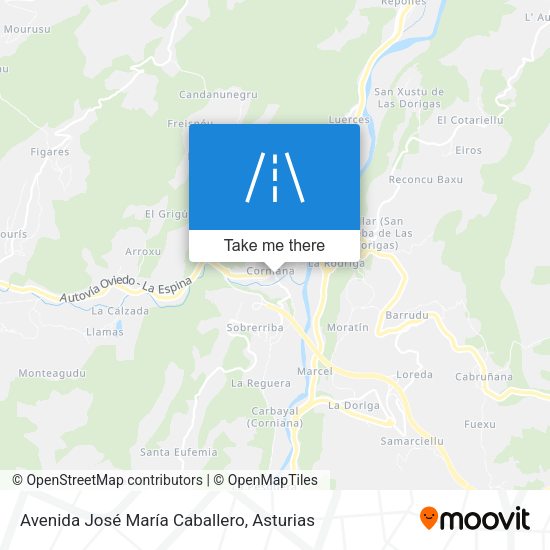 Avenida José María Caballero map