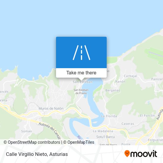 Calle Virgilio Nieto map