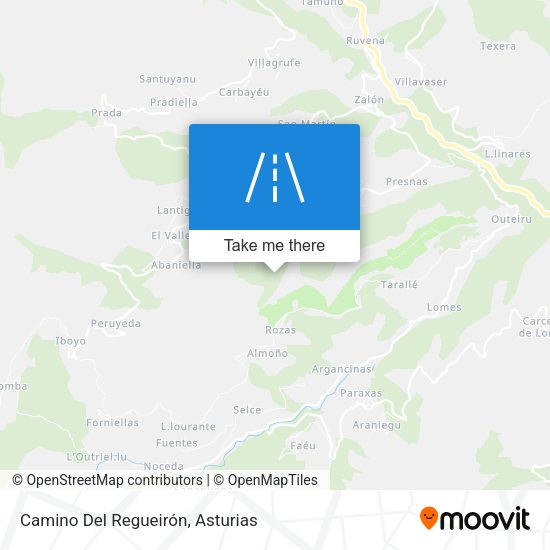 Camino Del Regueirón map