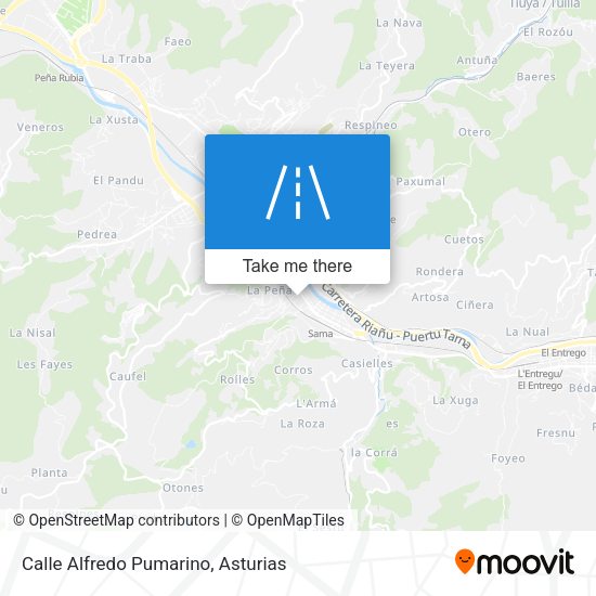 Calle Alfredo Pumarino map