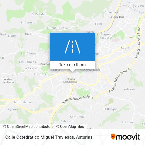 Calle Catedrático Miguel Traviesas map