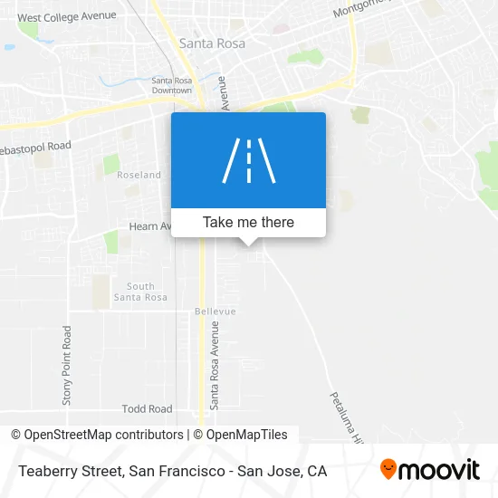 Teaberry Street map