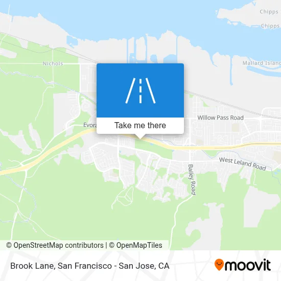 Brook Lane map