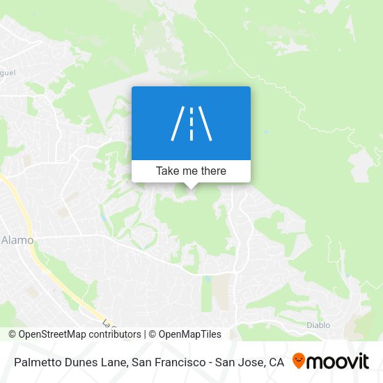 Palmetto Dunes Lane map