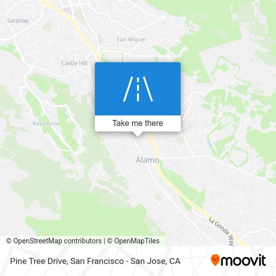 Mapa de Pine Tree Drive