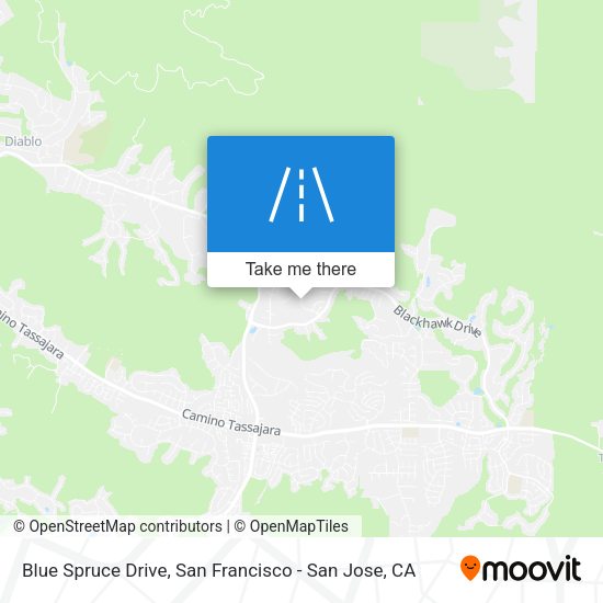 Mapa de Blue Spruce Drive