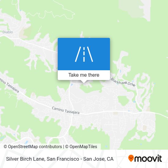 Silver Birch Lane map