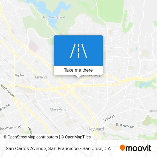 San Carlos Avenue map