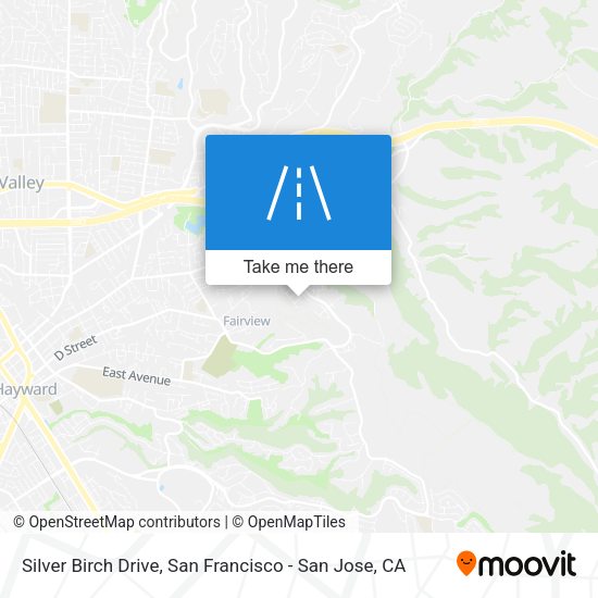 Silver Birch Drive map