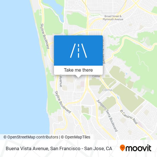 Buena Vista Avenue map