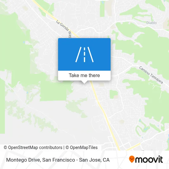Montego Drive map