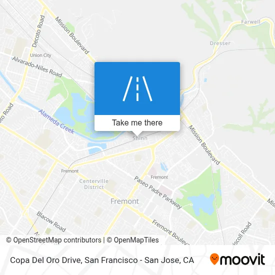 Copa Del Oro Drive map