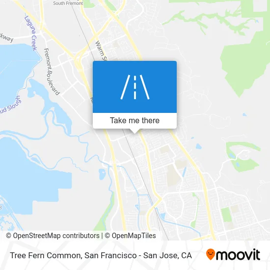Tree Fern Common map