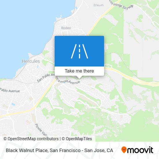 Black Walnut Place map