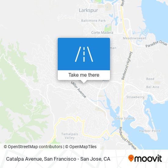 Catalpa Avenue map