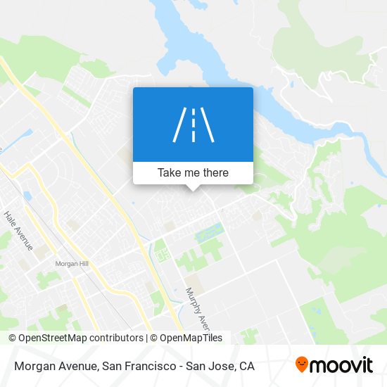 Mapa de Morgan Avenue