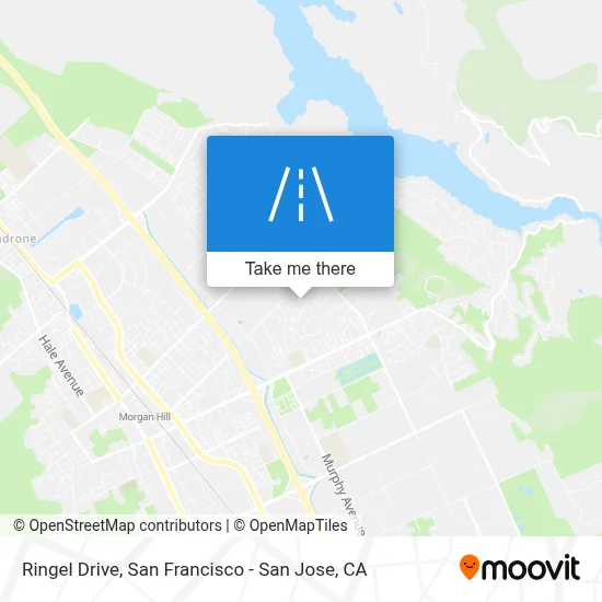 Ringel Drive map