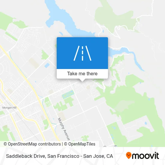 Saddleback Drive map