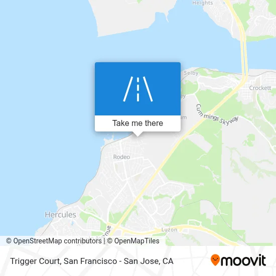 Trigger Court map