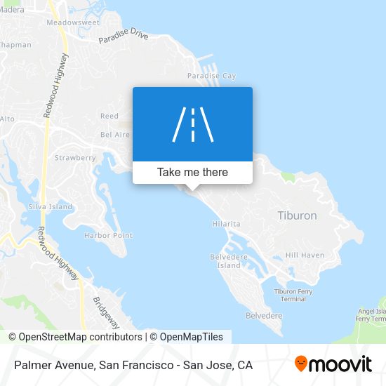 Mapa de Palmer Avenue