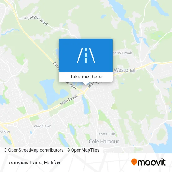 Loonview Lane map