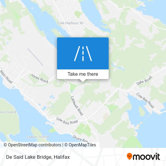 De Said Lake Bridge plan