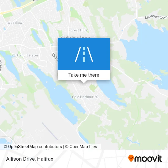 Allison Drive map