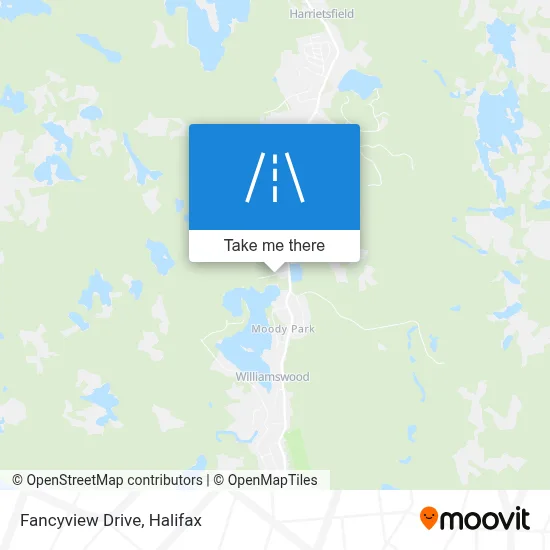 Fancyview Drive map